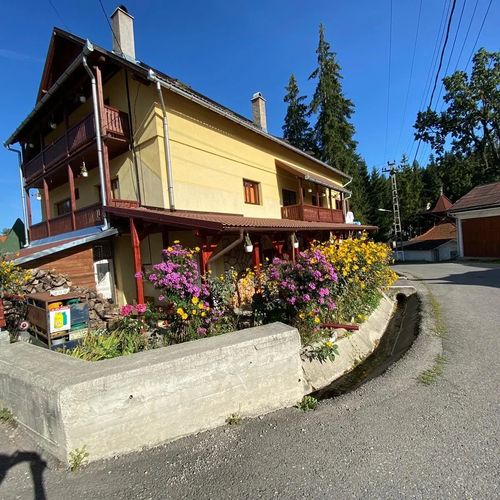 Pensiunea Floare de Colt Borsec