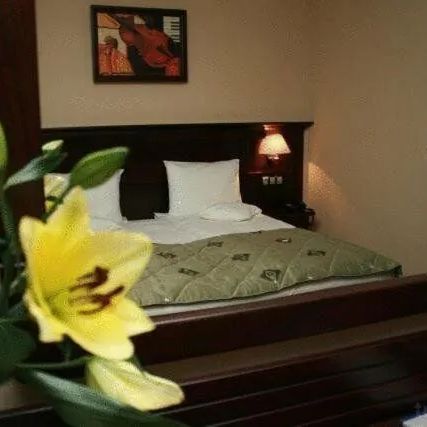 Hotel Rapsodia City Center Botoșani – Botoșani, România