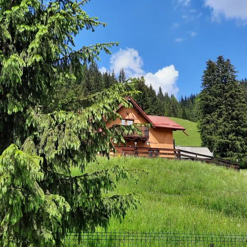 Casa Aurici Vatra Dornei