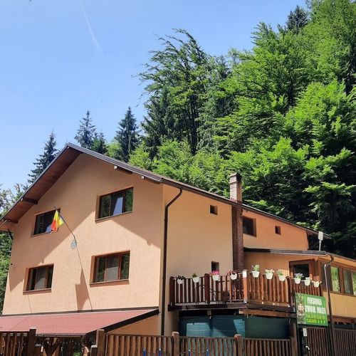 Pensiunea Izvorul Maleii Jieț