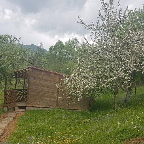Camping Zamolxe Sarmizegetusa – Sarmizegetusa, România