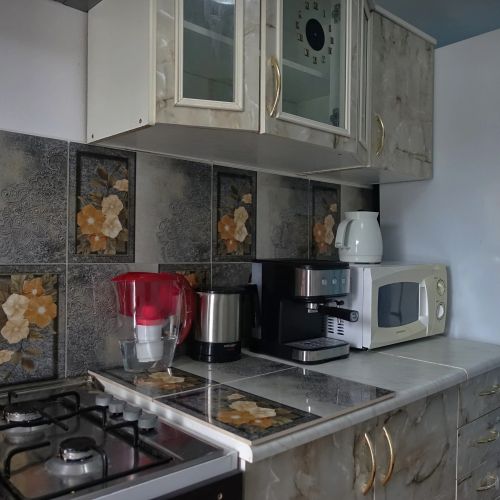 Camere de închiriat La Dory Sat-Șugatag – Sat-Șugatag, România