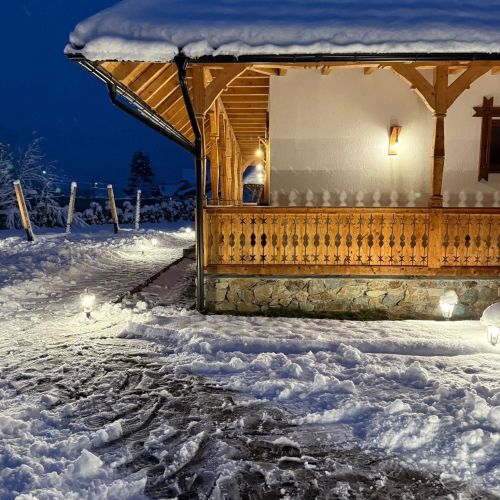 Casa Moroșanului Vișeu de Sus – Vişeu de Sus, România