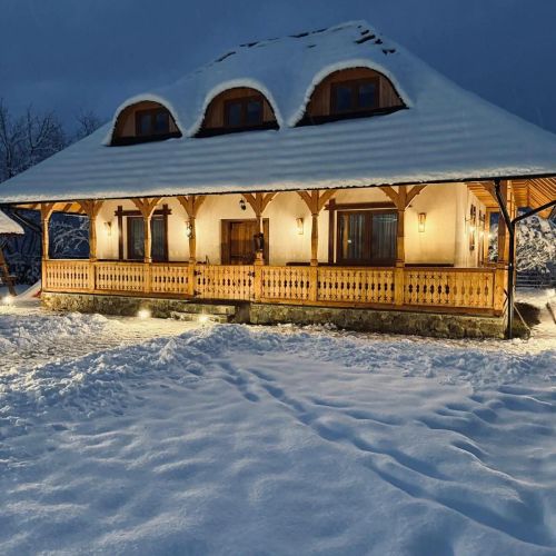 Casa Moroșanului Vișeu de Sus – Vişeu de Sus, România