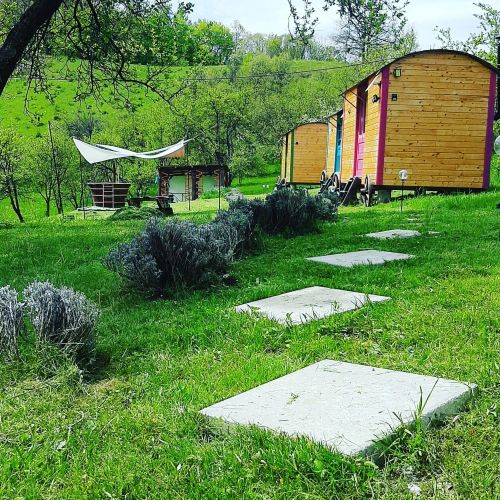 Poiana Stelelor Văleni