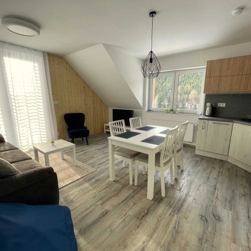 Apartmán Pod Mamutem Dolní Morava – Dolní Morava, Česká republika