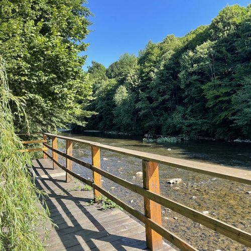 Campingul Apusenilor Șuncuiuș