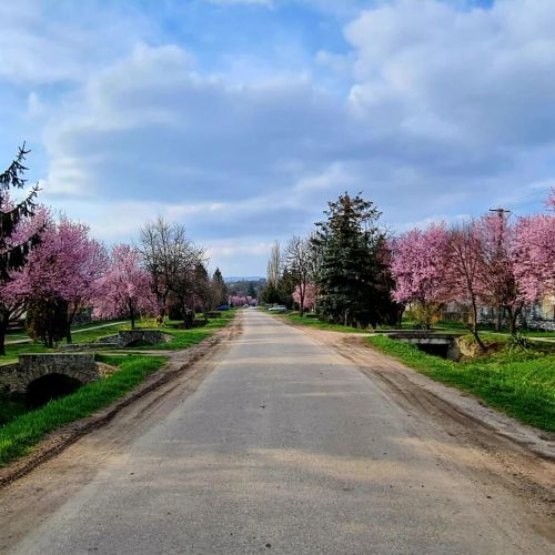 Tulipános Geszthouse Borsodgeszt – Borsodgeszt, Ungaria