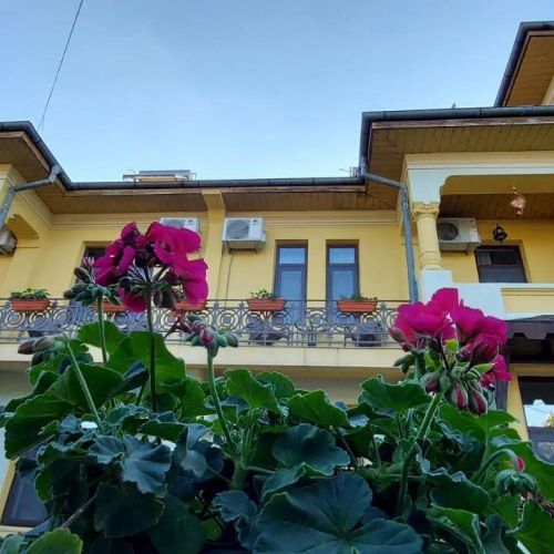 Casa Elenis Eforie Sud