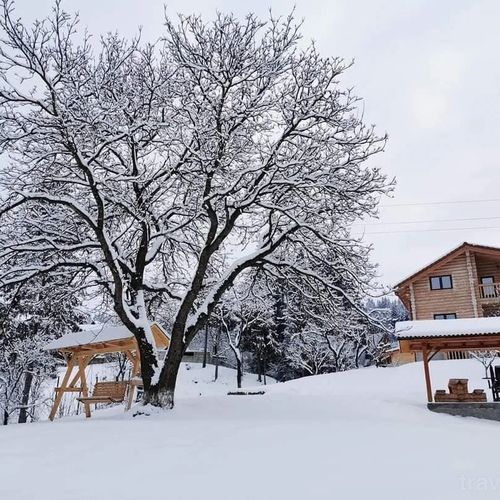 Cabana Livada Borșa