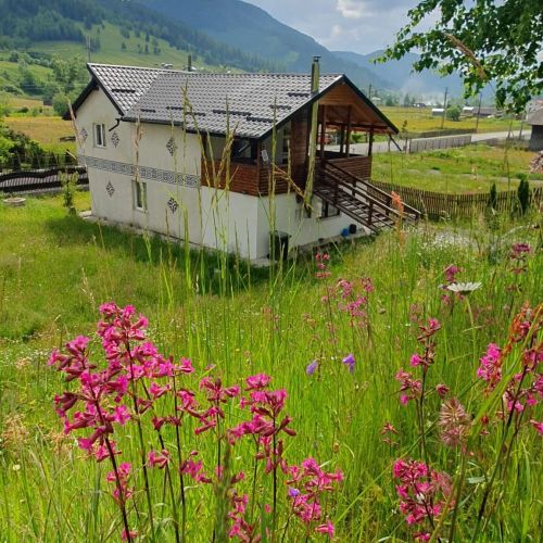 Casa Viorica din Botoș Ciocănești – Ciocănești, România