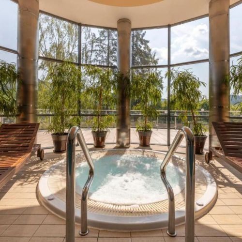 Hotel Krynica Conference & SPA Krynica-Zdrój