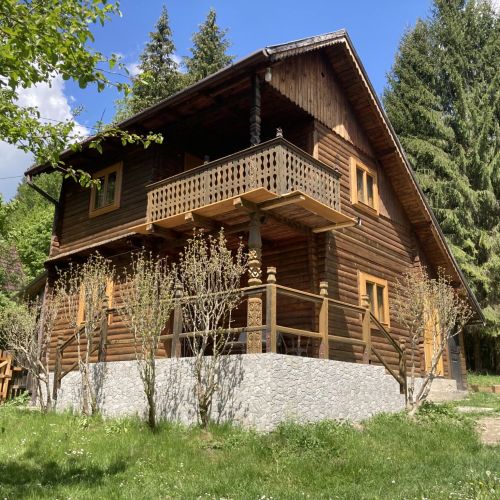 Cabana Evergreen Băile Balvanyos