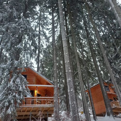 Cabana Hay Huy Camp Bușteni
