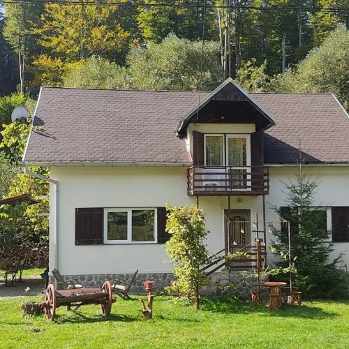 Complex Adela Transfăgărășan Cârțișoara