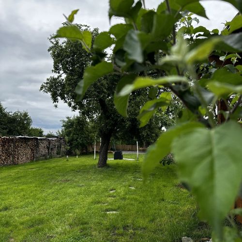 Pensiunea Belleview Porumbacu de Sus – Porumbacu de Sus, România