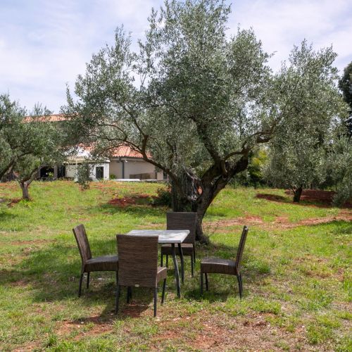 Villa Olive Garden Paradise Rovinj – Rovinj, Croația