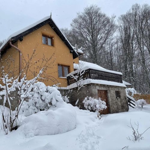 Villa Garden Băile Balvanyos