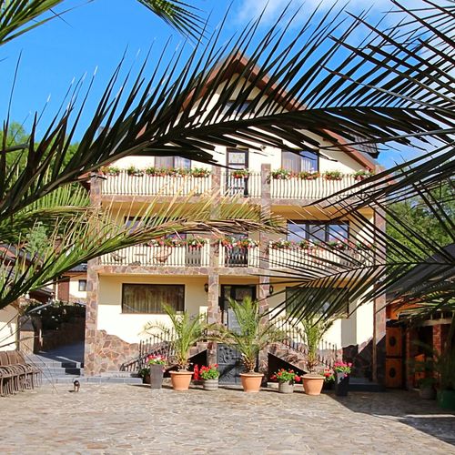 Pensiunea Adolescența Dărmăneşti