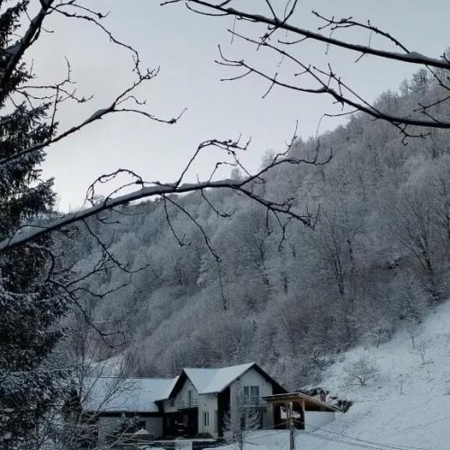 Vibe House Madisson Poiana Mărului 