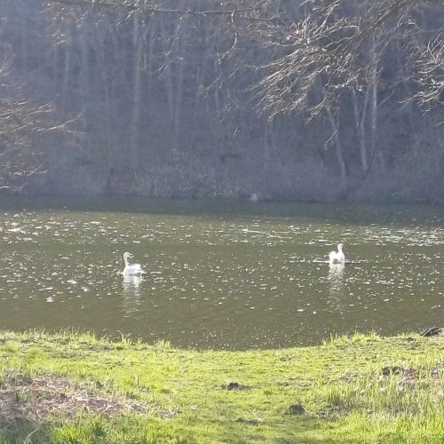 Akác Kuckò Hosszúpereszteg – Hosszúpereszteg, Ungaria