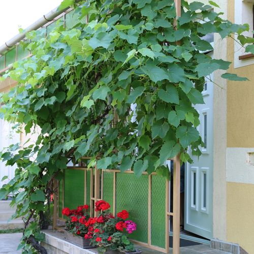 Hajnalka Apartmanház Gyula