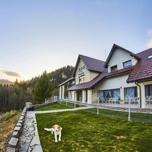 Turquoise House Colibița