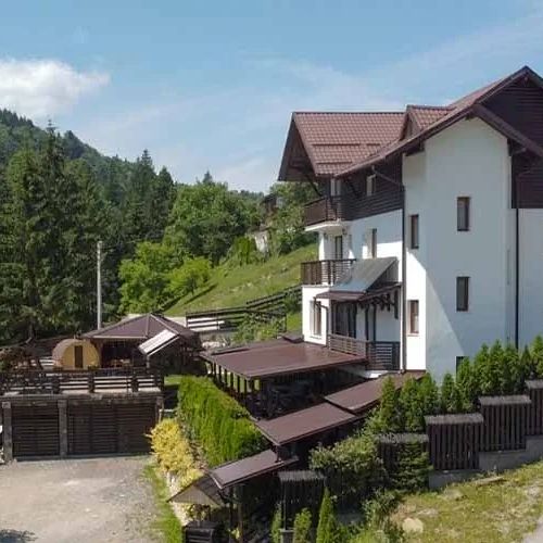 Pensiunea Alexis Borşa