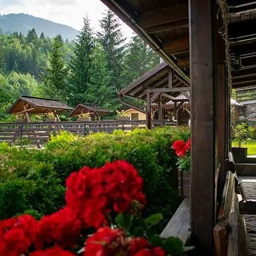 Pensiunea Alexis Borşa – Borşa, România
