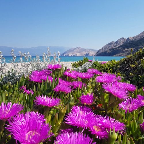 Apartments Nara Brnic Baška – Baška, Croația