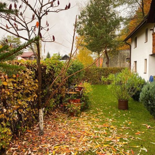 Cabana Tudor Avrig – Avrig, Rumunsko
