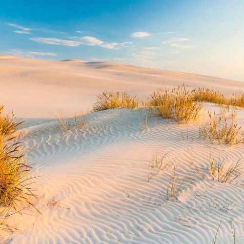 Vendégház Nowęcin - PPL278 – Nowęcin, Polonia