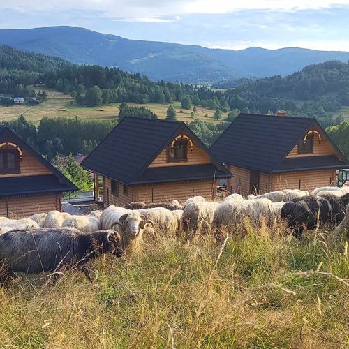 Chaty pod Pilskiem Krzyżówki