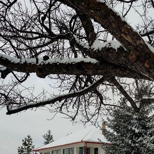 Casa de oaspeți Kavicsház Vlăhiţa – Vlăhiţa, România