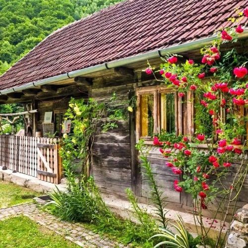 Căsuța Bucuriei Vălari