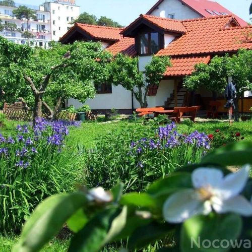 Pokoje Orzechówka Krynica Morska – Krynica Morska, Polonia