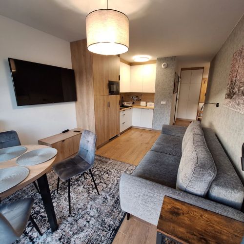 Apartament Centrum Parking - 41m Magnolia Krynica-Zdrój