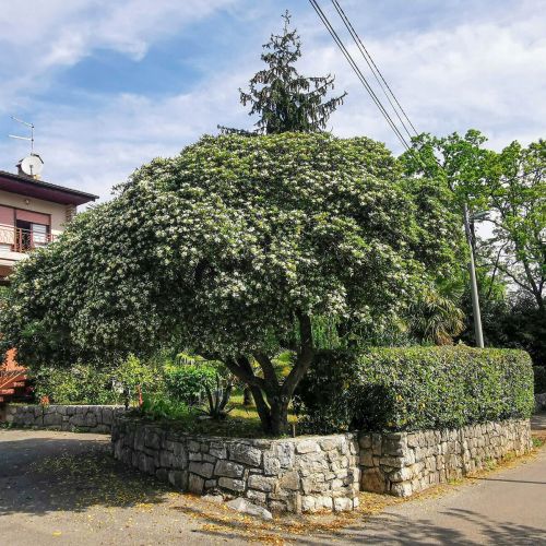 Apartman Lovran - CKU468 – Lovran, Chorwacja