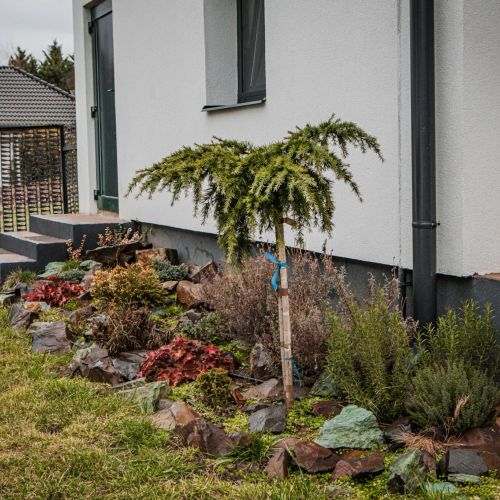 Csongor Lak Apartman Nyíregyháza – Nyíregyháza, Ungaria