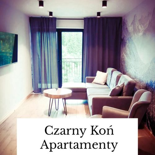Czarny Koń Apartamenty Bukowina Tatrzańska – Bukowina Tatrzańska, Polsko