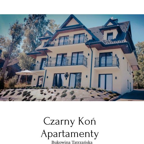 Czarny Koń Apartamenty Bukowina Tatrzańska – Bukowina Tatrzańska, Polsko
