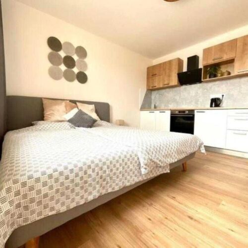 Tylova Apartments Kutná Hora  – Kutná Hora, Republica Cehă