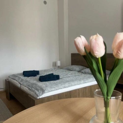 Apartmán VAJB Jičín – Jičín, Republica Cehă