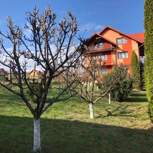 Casa Cristina Gura Humorului 