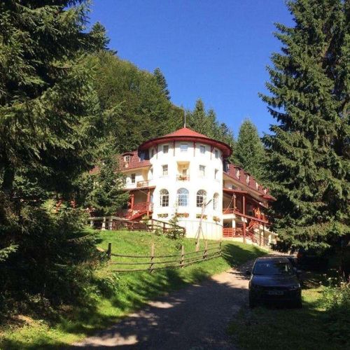 Pensiunea Casa Olga Pârâul Rece