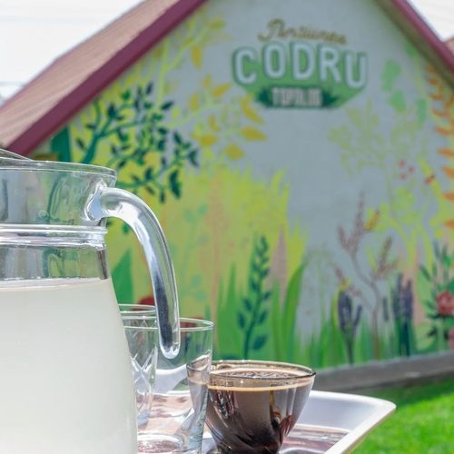 Pensiunea Codru Topolog