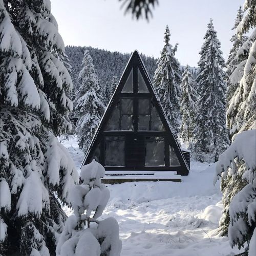 Black Chalet Apuseni Vârtop – Vârtop, România