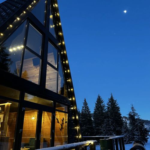 Black Chalet Apuseni Vârtop – Vârtop, România