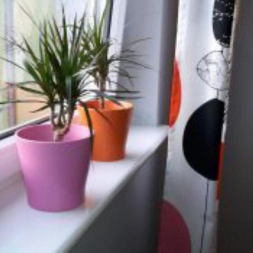 Apartamenty Sedinum - Brama Portowa