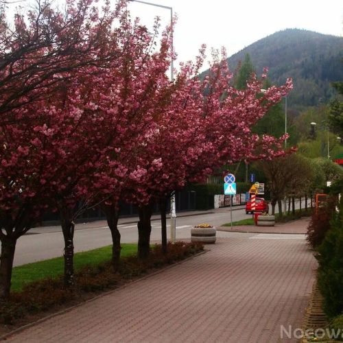 Agat Ustroń-Zawodzie – Ustroň, Polsko